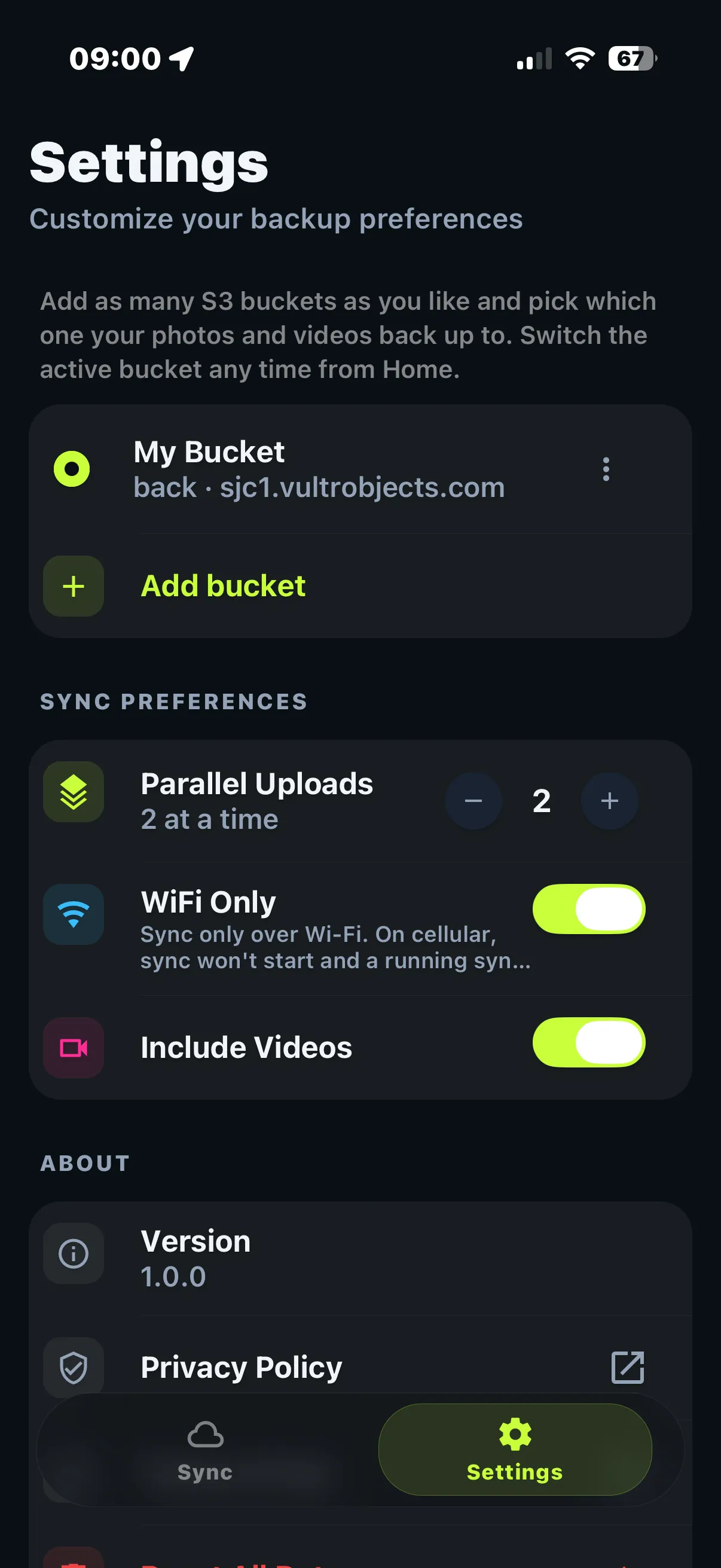 SnapVault settings for choosing what to back up